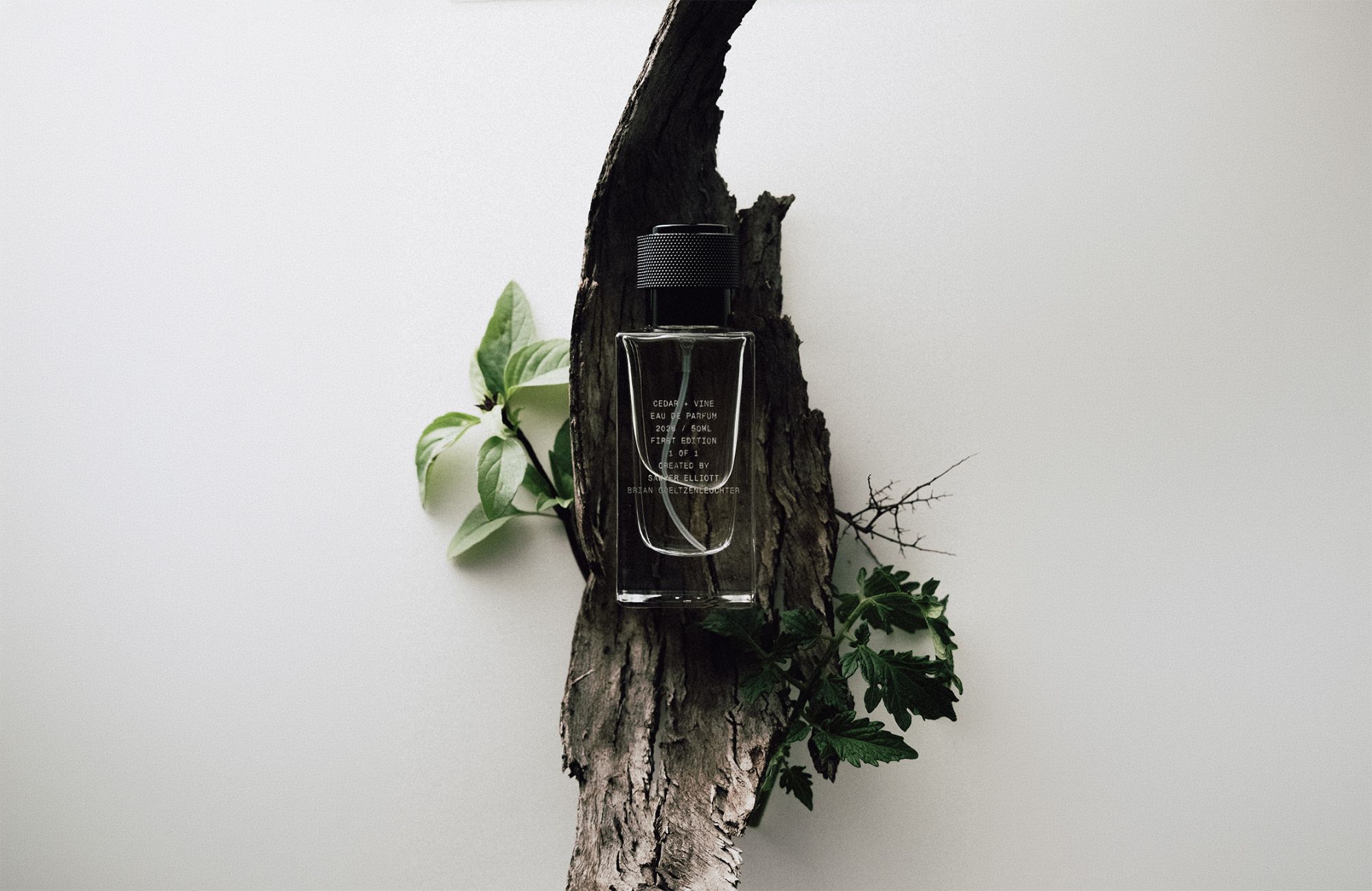 Cedar + Vine Eau de Parfum bottle set into tree bark among leaves